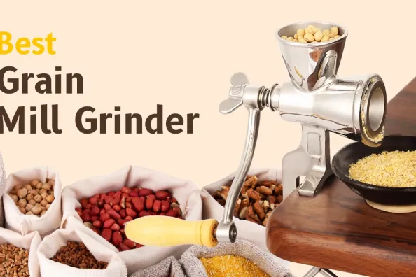 Best Grain Mill Grinder on Sale in 2024