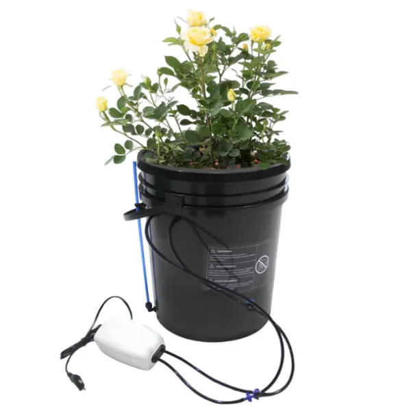 DWC Hydroponic System,5-Gallon 1 Bucket Deep Water Culture Growing with Reservoir Kit DWC Hydroponic System,5-Gallon 1 Bucket Deep Water Culture Growing with Reservoir Kit