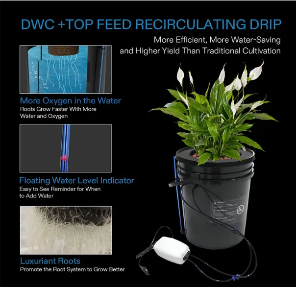 DWC Hydroponic System,5-Gallon 1 Bucket Deep Water Culture Growing with Reservoir Kit DWC Hydroponic System,5-Gallon 1 Bucket Deep Water Culture Growing with Reservoir Kit