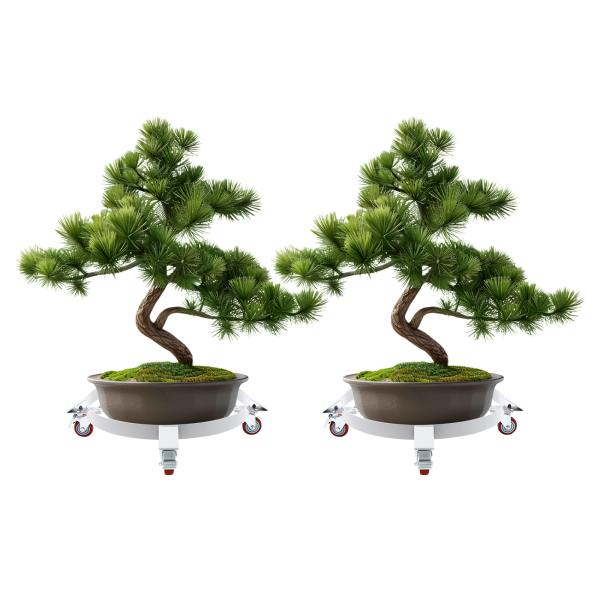 2Pcs 55 Gallon Loading 544.31kg/1200lbs Round Drum Dolly Drum Dolly with Wheels Gray 2Pcs 55 Gallon Loading 544.31kg/1200lbs Round Drum Dolly Drum Dolly with Wheels Gray