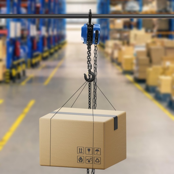 Hand Chain Hoist, Manual Chain Hoist, Heavy Duty Pulley Hoist(Blue)