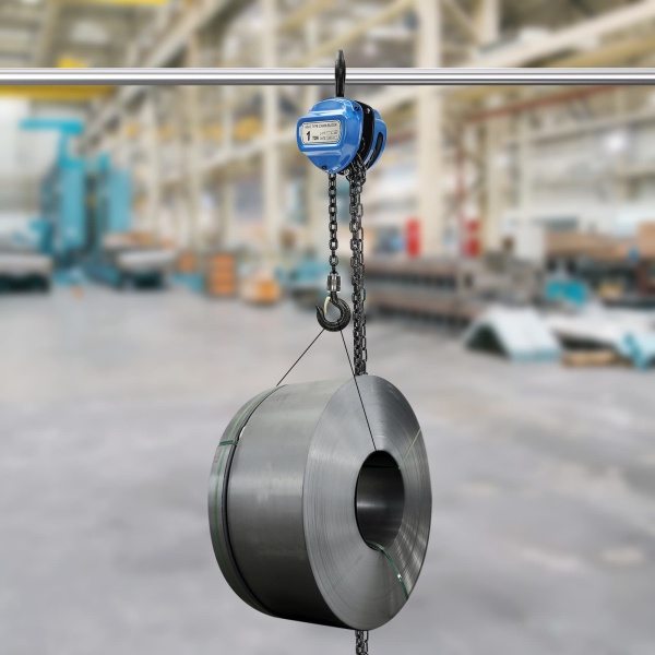 Hand Chain Hoist, Manual Chain Hoist, Heavy Duty Pulley Hoist(Blue)