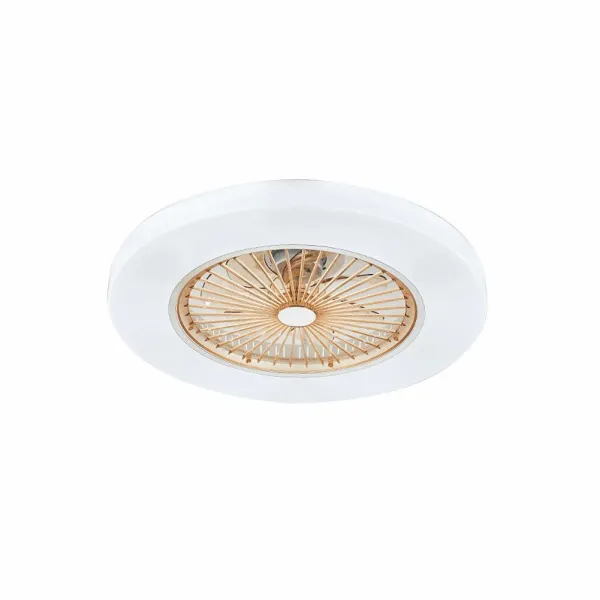22 Inch Ceiling Fan with Light-Modern Dimmable LED Acrylic Ceiling Lighting Fan with Remote Control 22 Inch Ceiling Fan with Light-Modern Dimmable LED Acrylic Ceiling Lighting Fan with Remote Control