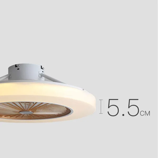 22 Inch Ceiling Fan with Light-Modern Dimmable LED Acrylic Ceiling Lighting Fan with Remote Control 22 Inch Ceiling Fan with Light-Modern Dimmable LED Acrylic Ceiling Lighting Fan with Remote Control