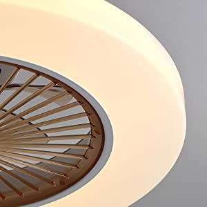 22 Inch Ceiling Fan with Light, Modern Dimmable LED Acrylic Ceiling Lighting Fan with Remote Control