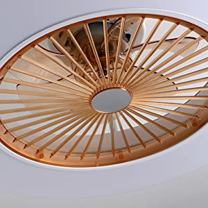 22 Inch Ceiling Fan with Light, Modern Dimmable LED Acrylic Ceiling Lighting Fan with Remote Control