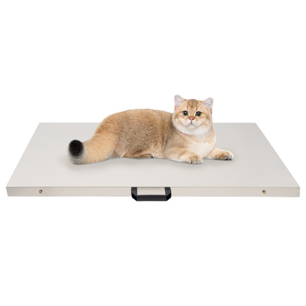 Digital Pet Scale Livestock Scale Shipping Scale Pig Dog Weight Scale Stainless Steel Large Platform 41x21 Inch (300kg/660lb) Digital Pet Scale Livestock Scale Shipping Scale Pig Dog Weight Scale Stainless Steel Large Platform 41x21 Inch (300kg/660lb)