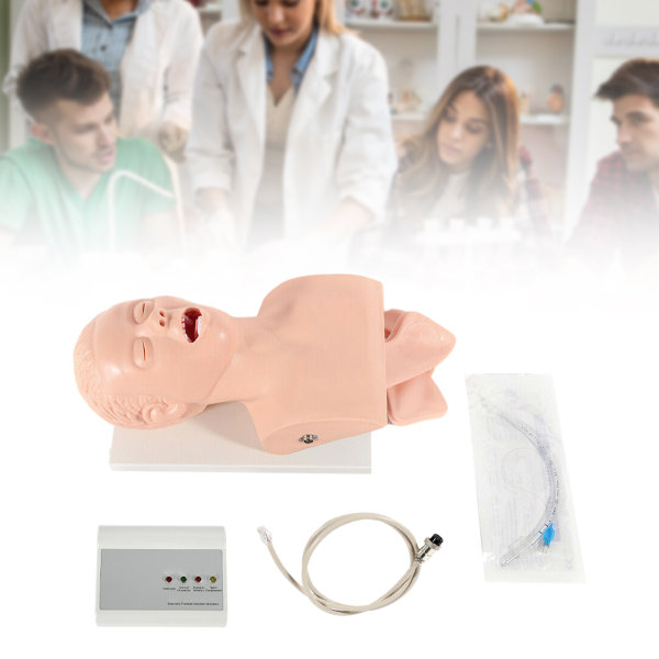 220V PVC Intubation Manikin Study Teaching Model Airway Management Trainer Intubation Head Study Teaching Model