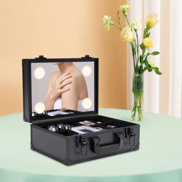 Professional Makeup Train Case Cosmetic Organizer Box Case W/ Light & Mirror USA