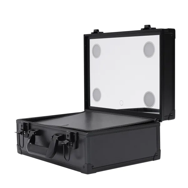 Professional Makeup Train Case Cosmetic Organizer Box Case W/ Light & Mirror USA